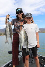 Limits of striped bass for this mother a