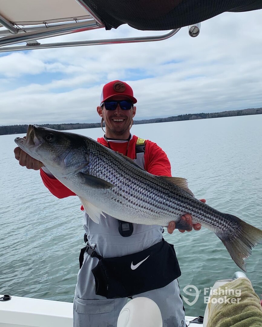 Reed Creek Report Photo 0