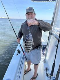 Big Daddy Drum & Sheepshead