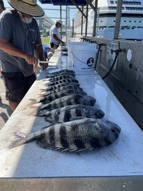 Port Canaveral Report Photo 2