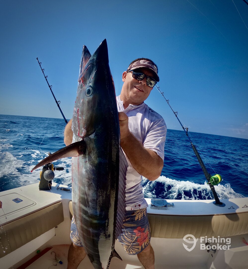 Cancún Report Photo 0