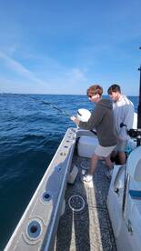 Shalimar Report Photo 1