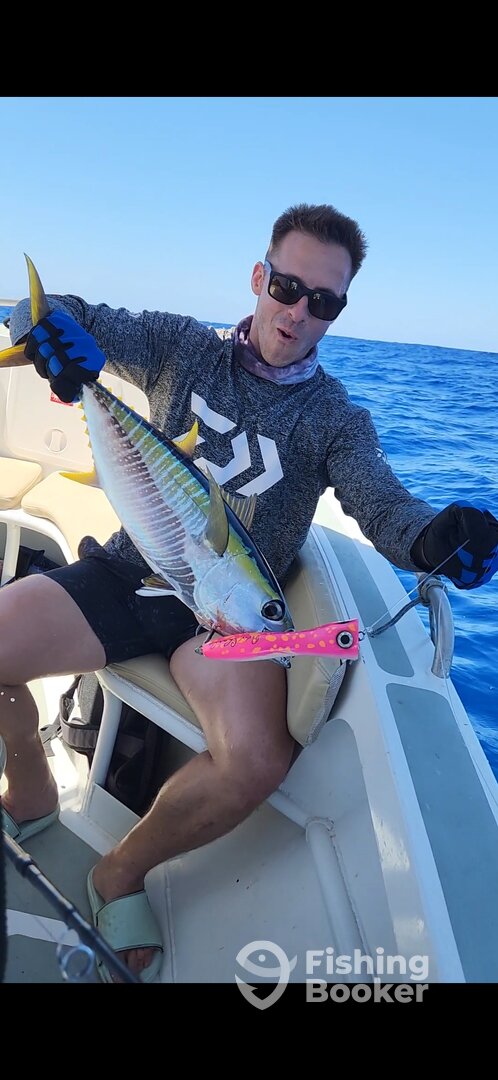 Puna'auia Report Photo 0