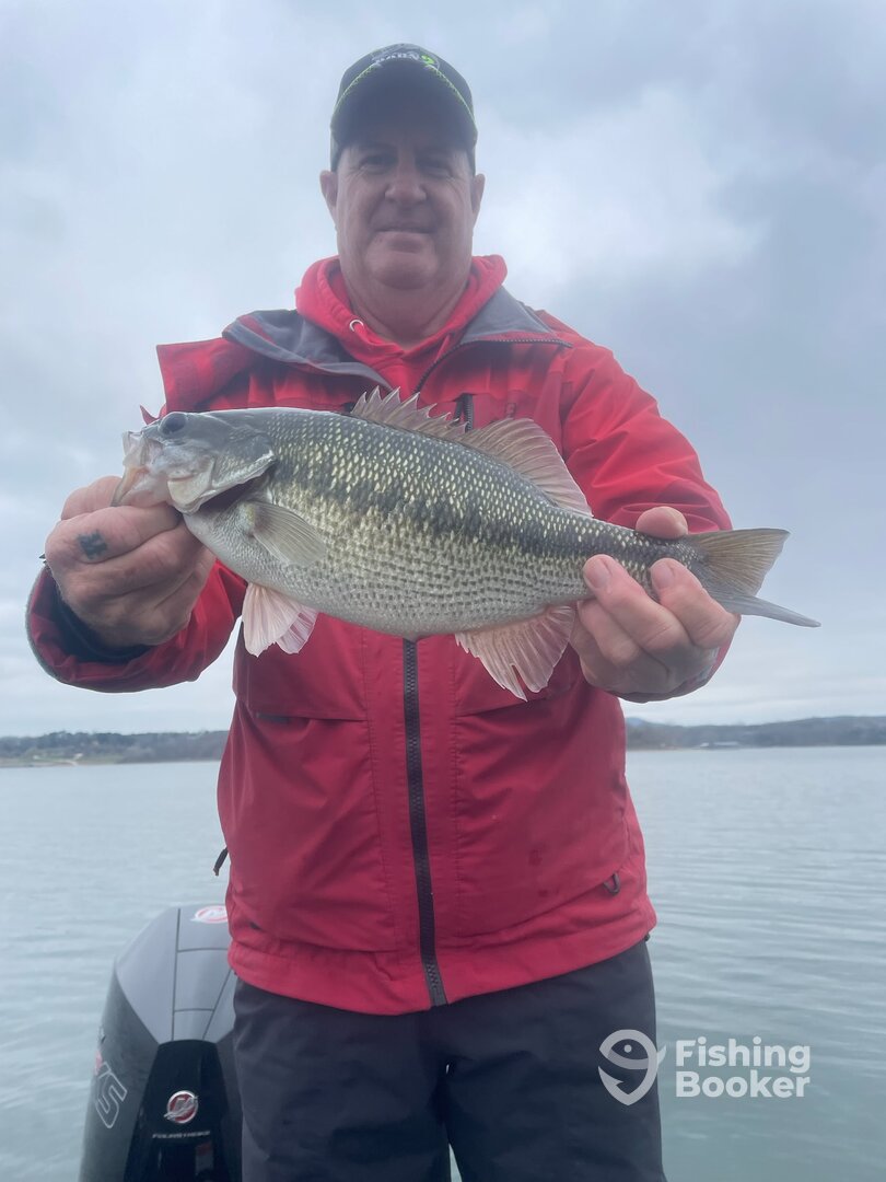 Branson Report Photo 0