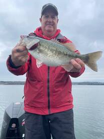 Branson Report Photo 2