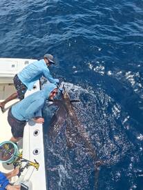 Playa Flamingo Report Photo 1