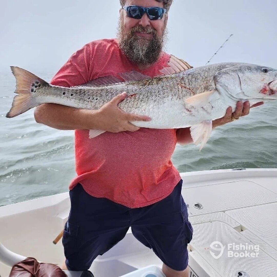 Ponce Inlet Report Photo 0