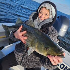 Pasadena Report Photo 2