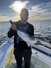 St. Bernard Report Photo 2