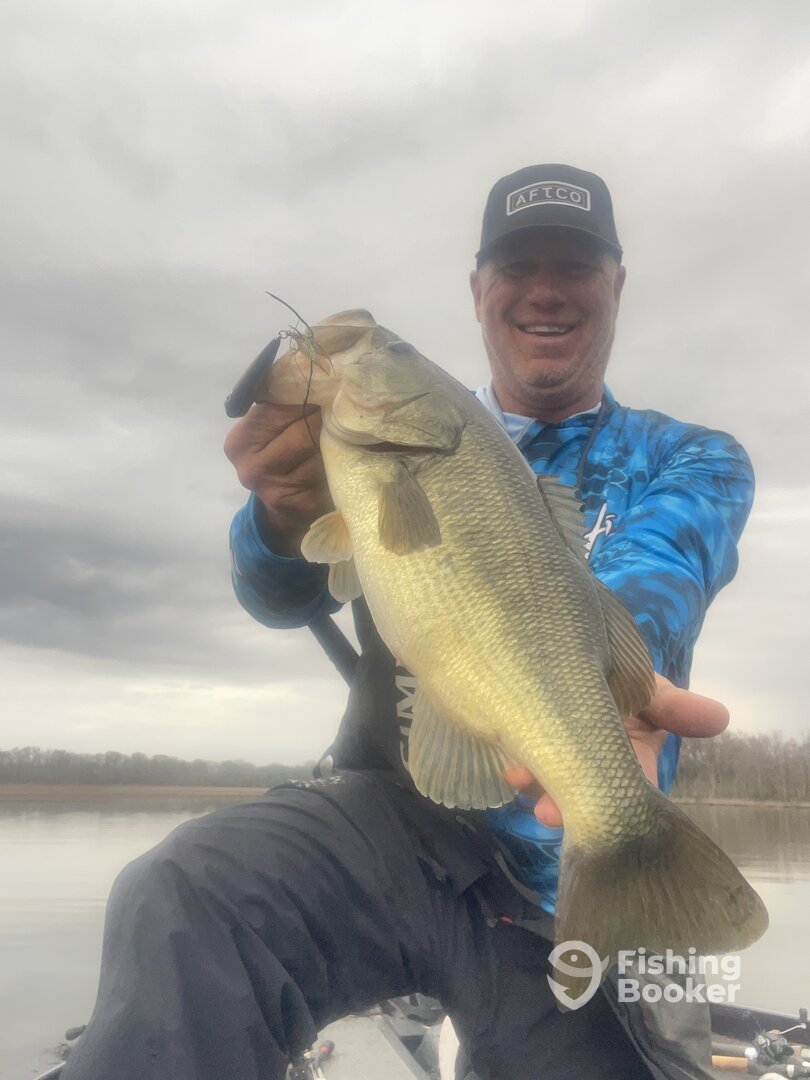 Woodbridge Report Photo 0