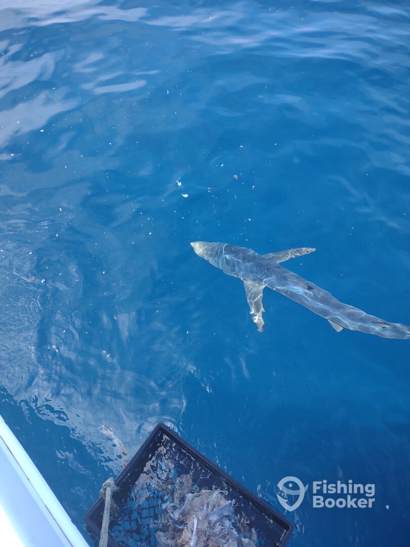 San Diego Report Photo 0