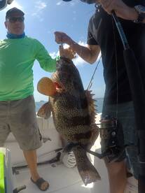 Living it up with different species!