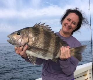 Inshore and offshore all in one trip! 