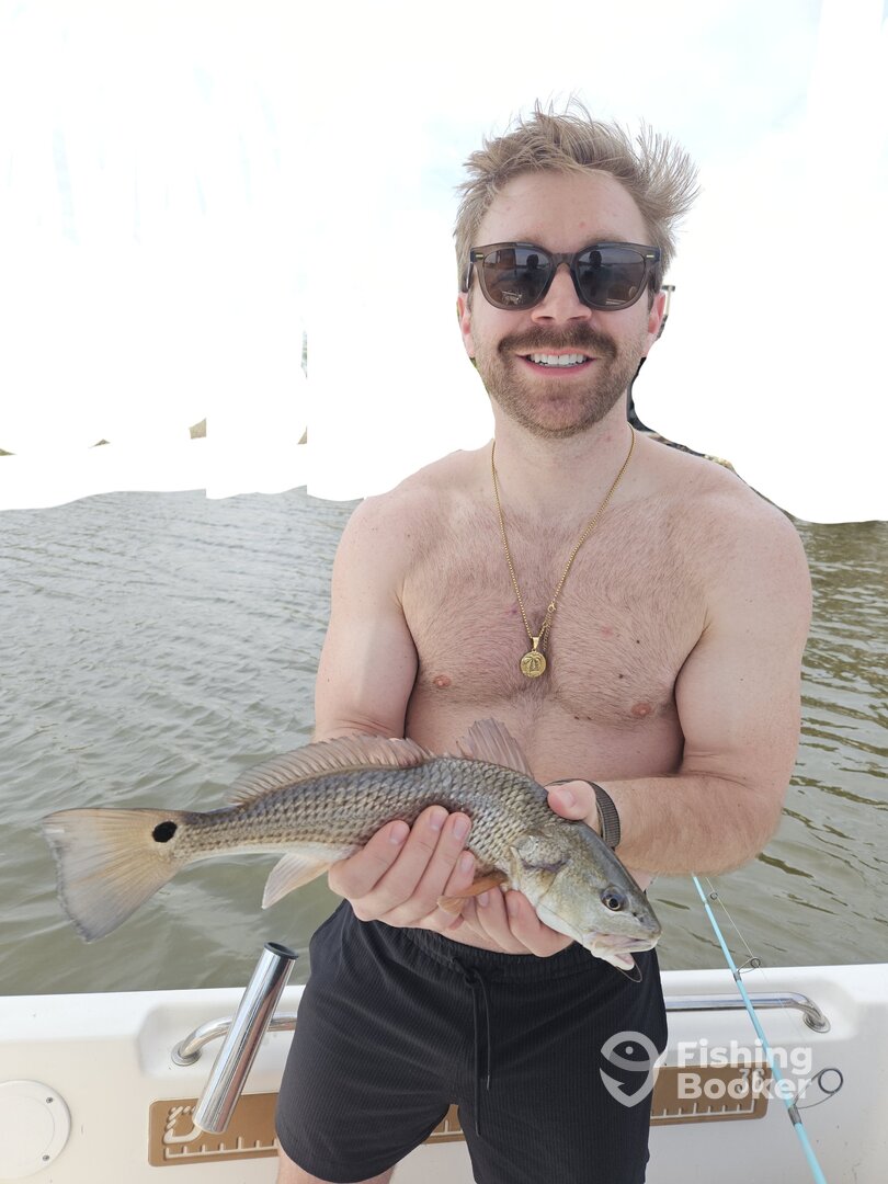 Mount Pleasant Report Photo 0