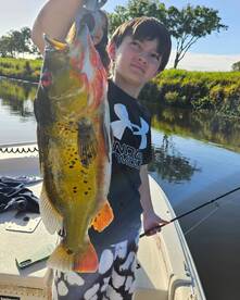 Delray Beach Report Photo 1