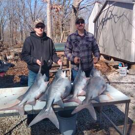 Chasing prehistoric monsters