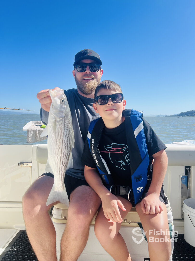 San Francisco Report Photo 0