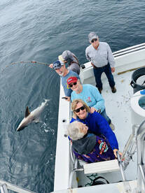 Destin Report Photo 1