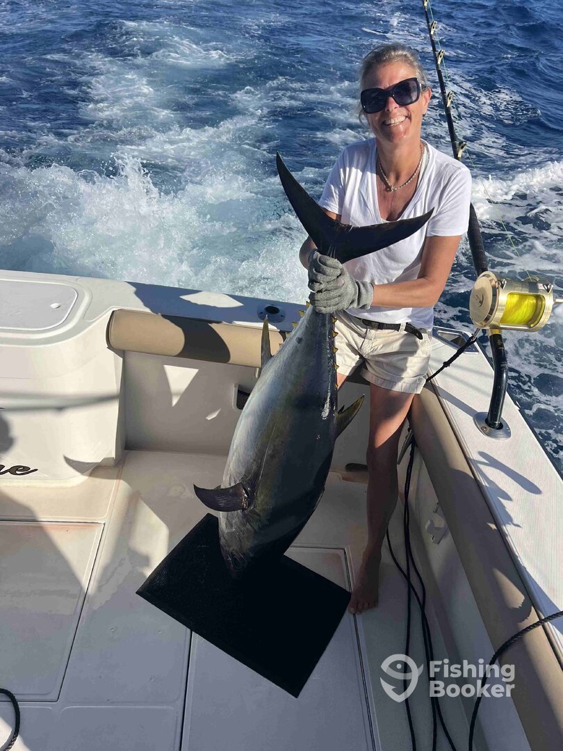 Calheta Report Photo 0