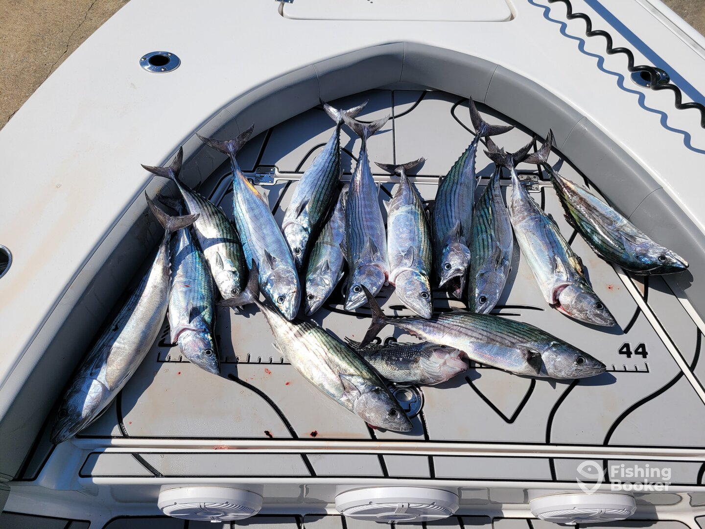 Surf City Report Photo 0