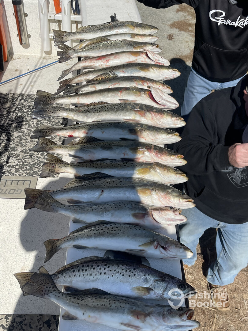 River Road Report Photo 0