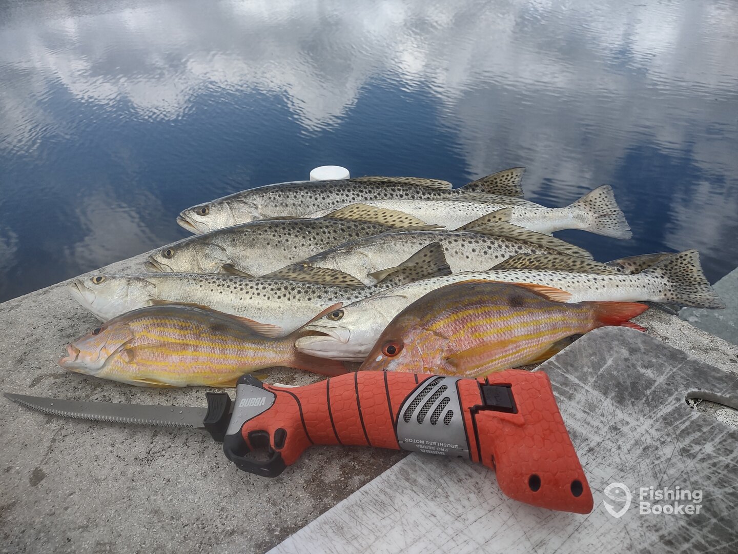 Yankeetown Report Photo 0