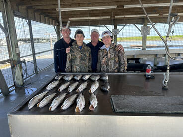 Palacios Report Photo 2