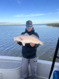 Fishing has been great lately. 