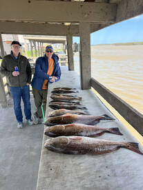 Venice Report Photo 1