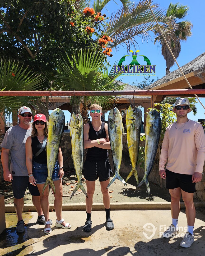 San Jose del Cabo Report Photo 0