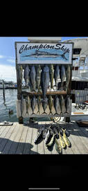 Spring Special Rates On Championship! 