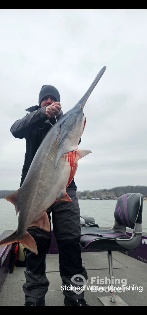 Branson Report Photo 0