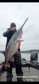 Saint louis Missouri fella