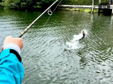 3/23/24 Great half day fishing tarpon an