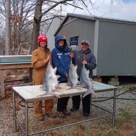 Stover Report Photo 1