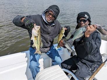 Atlanta Report Photo 1