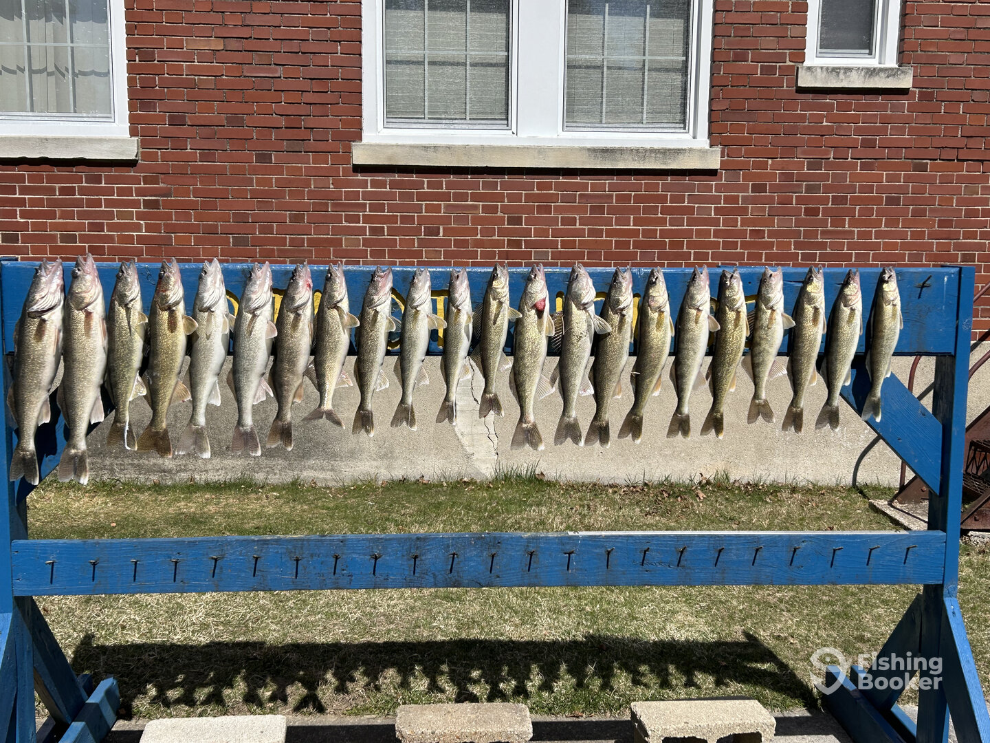 Whitehall Report Photo 0