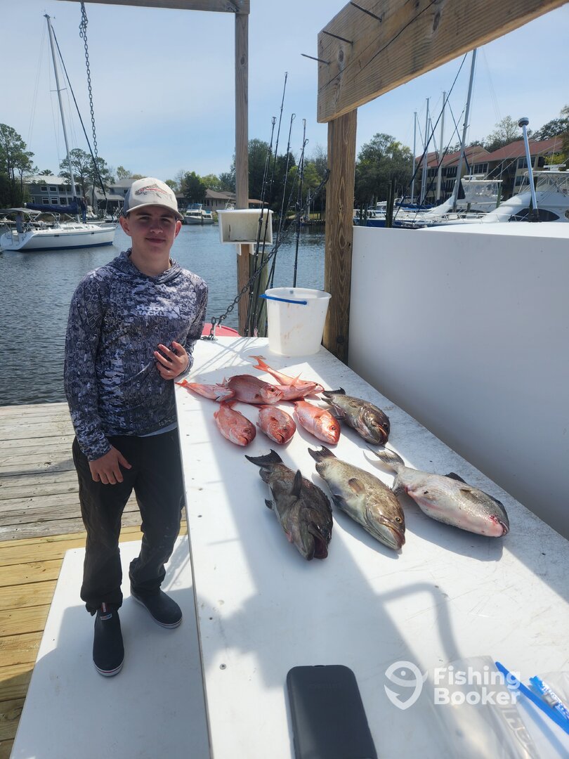 Niceville Report Photo 0