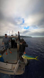 Mahi mahi -National geographic live —cha
