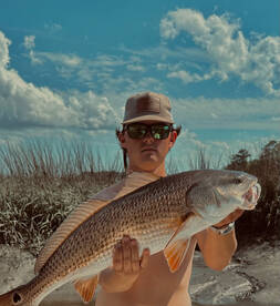 The Red fish are here! 