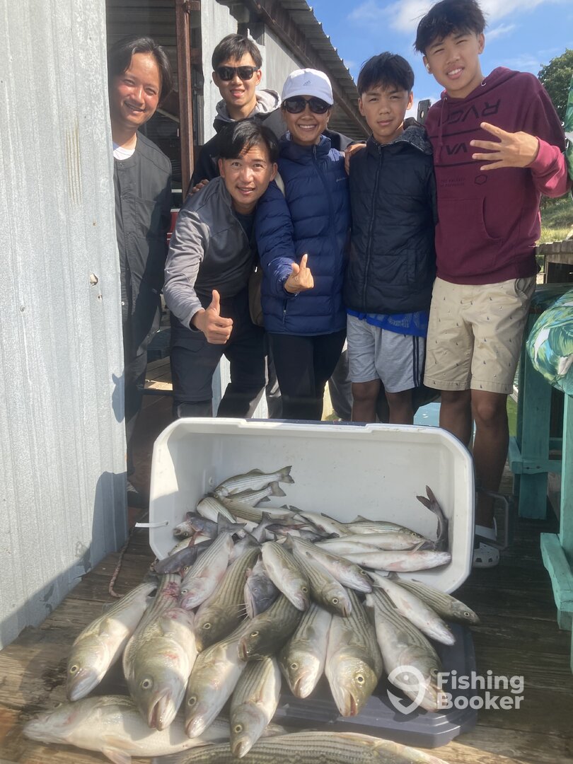 Pottsboro Report Photo 0