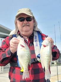 Harrison Report Photo 1