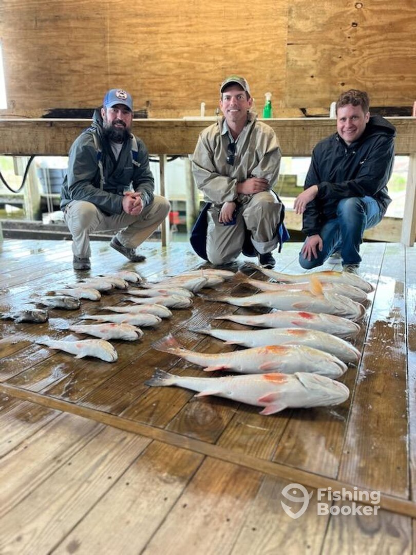 Venice Report Photo 0