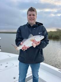 Venice Report Photo 1