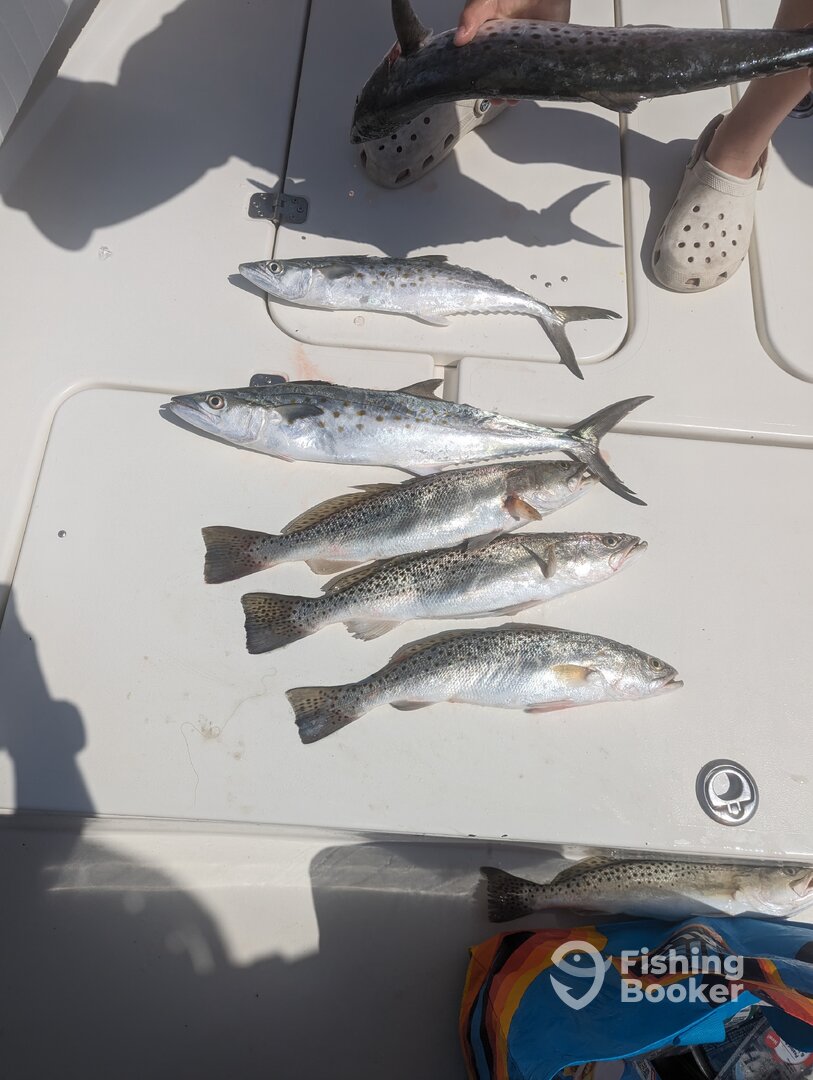 St. Petersburg Report Photo 0