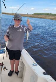 Savannah Report Photo 1