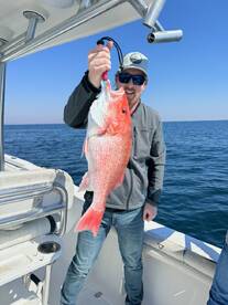 Destin Report Photo 1