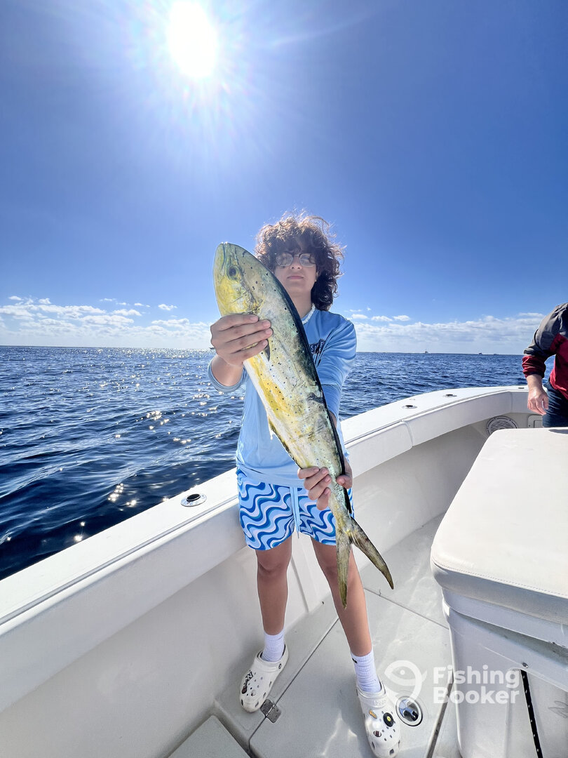 Boynton Beach Report Photo 0