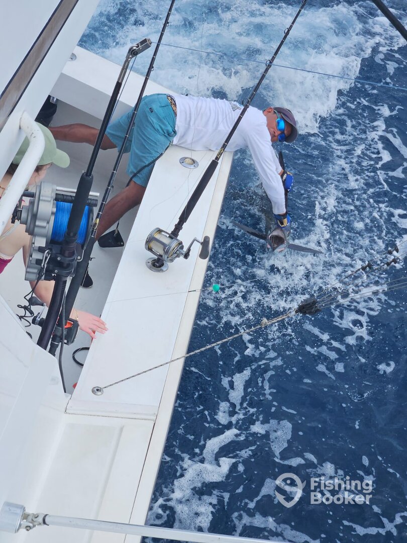 Quepos Report Photo 0