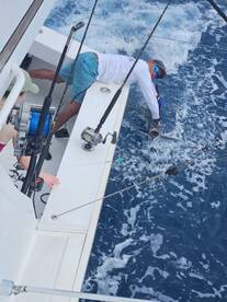 Sailfish are hot in March!